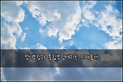 ์ ๊ธฐ๋ณดํ๊ณผ ํตํฉ๋ณดํ๋ฉ๋ฆฌ์ธ ์งํ๋กญ๊ฒ