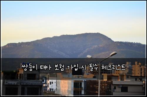 쌍둥이 태아 보험 가입 시 필수 체크리스트