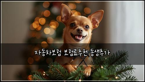 자동차보험 보험료추천  동생추가