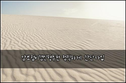 암보험비갱신형추천 정직하게 간단가입