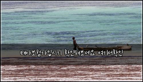 태아보험가입시기 확인해보세요 여기서확인