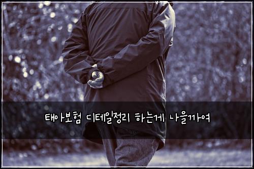 ํ์๋ณดํ ๋ํ
์ผ์ ๋ฆฌ ํ๋๊ฒ ๋์๊น์ฌ