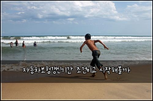 자동차보험갱신기간 조건비교 시작해볼까