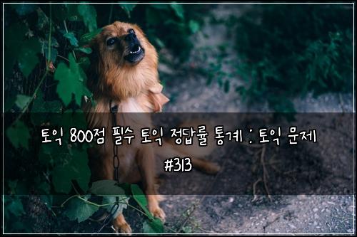 ํ ์ต 800์ ํ์ ํ ์ต ์ ๋ต๋ฅ ํต๊ณ : ํ ์ต ๋ฌธ์ #313