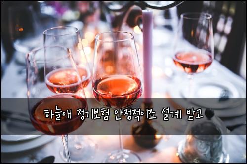 ํ๋์ ์ ๊ธฐ๋ณดํ ์์ ์ ์ด์ฃ ์ค๊ณ ๋ฐ๊ณ