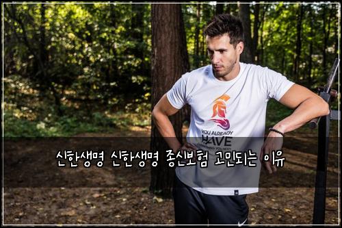 신한생명 신한생명 종신보험 고민되는 이유