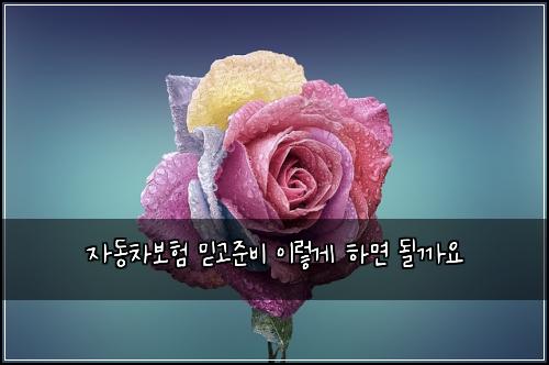 자동차보험 믿고준비  이렇게 하면 될까요