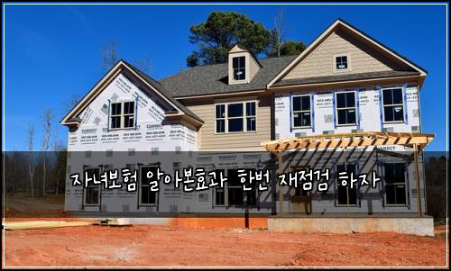 자녀보험 알아본효과  한번 재점검 하자