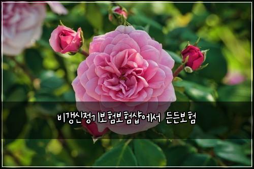 ๋น๊ฐฑ์ ์ ๊ธฐ๋ณดํ๋ณดํ์ต์์ ๋ ๋ ๋ณดํ