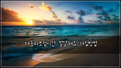 자동차보험시간 절감해요 가입방법