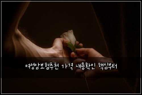 여성암보험추천 가격 내용확인 핵심부터