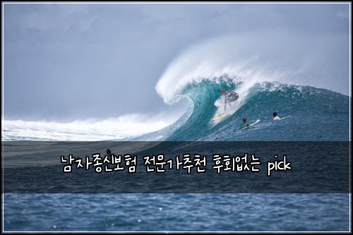 남자종신보험 전문가추천  후회없는 pick