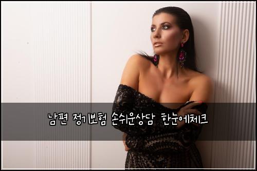남편 정기보험 손쉬운상담  한눈에체크