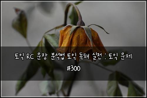 ํ ์ต RC ๋ฌธ์ฅ ๋ถ์๋ฒ ํ ์ต ๋
ํด ์ค์ : ํ ์ต ๋ฌธ์ #300